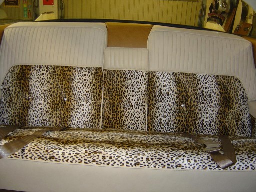 Toute la sellerie a été réalisée par Gianni Zini .<br>All saddlery was made by Gianni Zini.